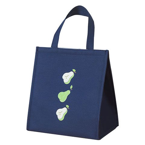 Insulated Bag
